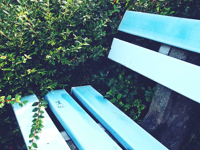 韩国羽毛球公开赛 我国夫妻档混双止步第一圈